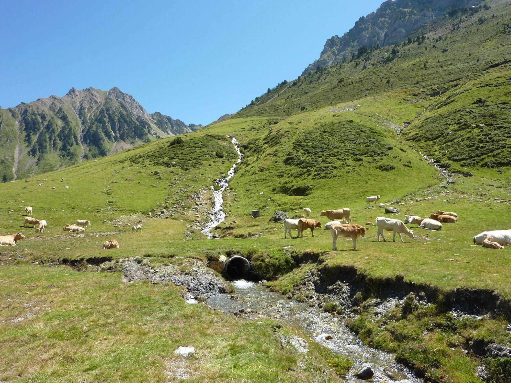 Residence Mer & Golf Tourmalet La Mongie Eksteriør billede